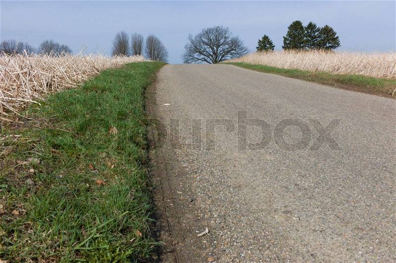 Endless road on a hill, with trees at the horizon, stock photo