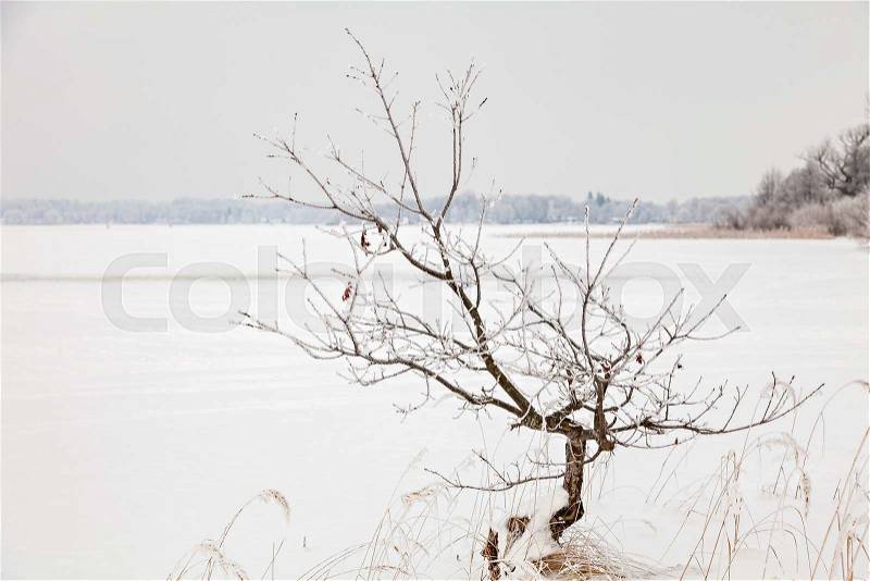 Image of Lake Finja, frozen. Hassleholm, Sweden. , stock photo