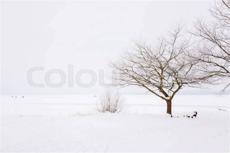 Image of frozen lake. Lake Finja, Sweden. , stock photo