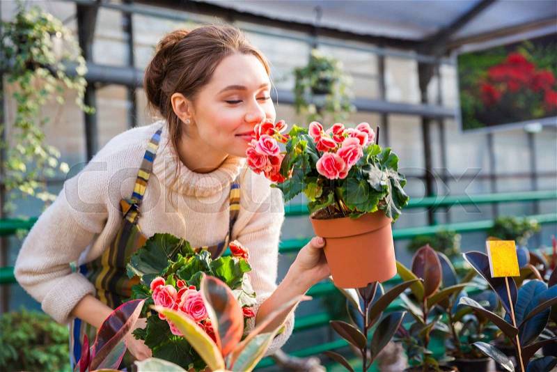 Attractive cute woman gardener smelling pink flowers in pot with eyes closed in greenhouse, stock photo