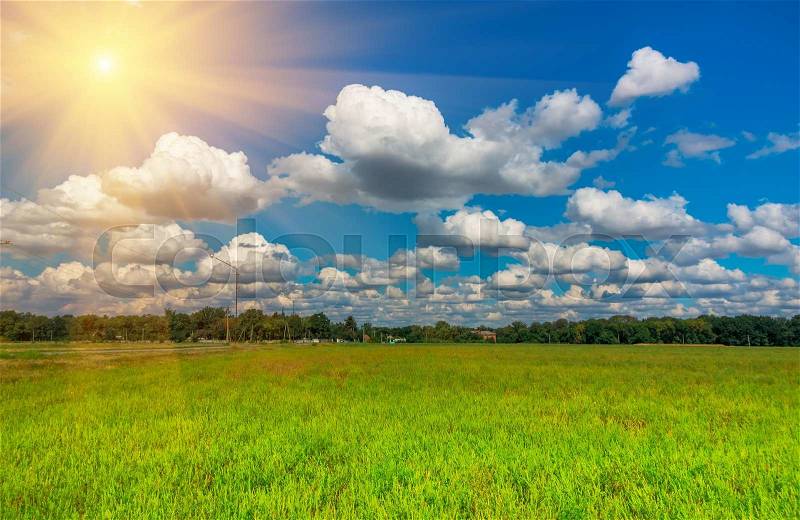 Green grass and clouds in a field, stock photo