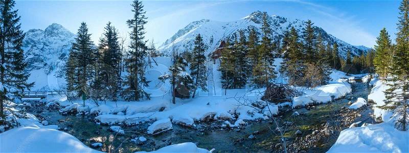 Small mountain stream with snowdrift and fir trees. Winter landscape panorama, stock photo