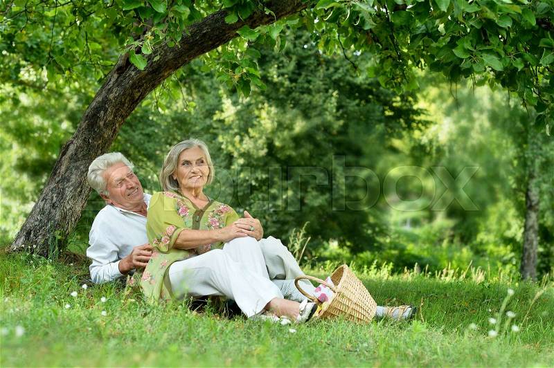 Portrait of Amusing old couple on picnic, stock photo