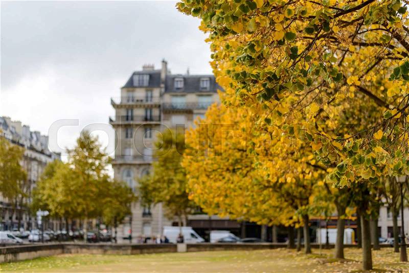 Autumn in Paris,building among yellow trees focus on trees, stock photo