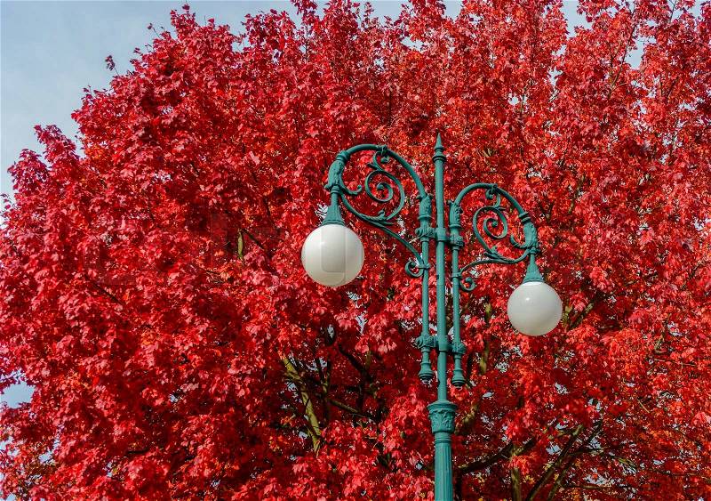 Street light lamp on background of branches of autumn beautiful bright red colored leaves of tree wonderful grandeur of nature cute postcard on natural background outdoor, stock photo