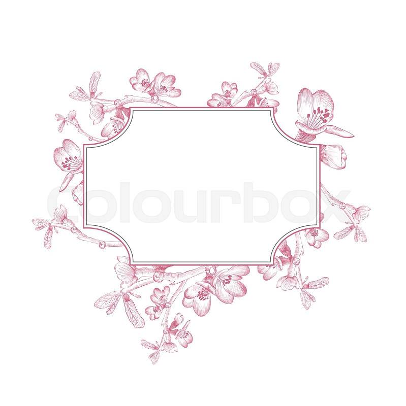 Vintage Border of Spring Cherry Blossom Flower Over White Background, stock photo