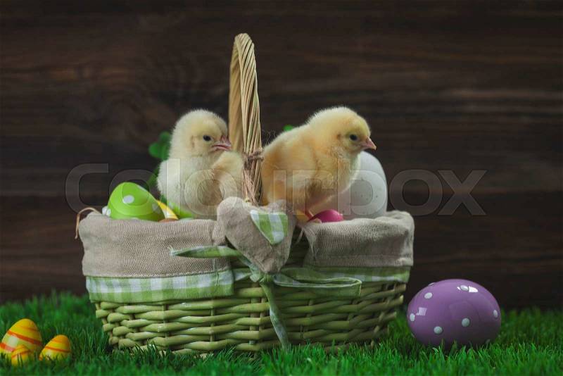 Easter chicken, eggs and decoration in vintage sytle wooden background, stock photo