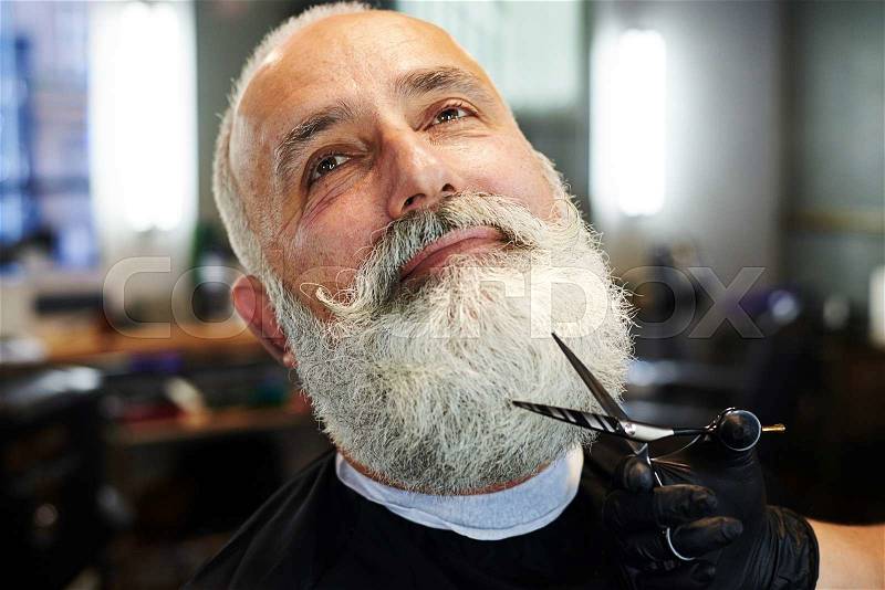 Closeup portrait of bearded senior man in barber shop. barber cutting beard with scissors , stock photo