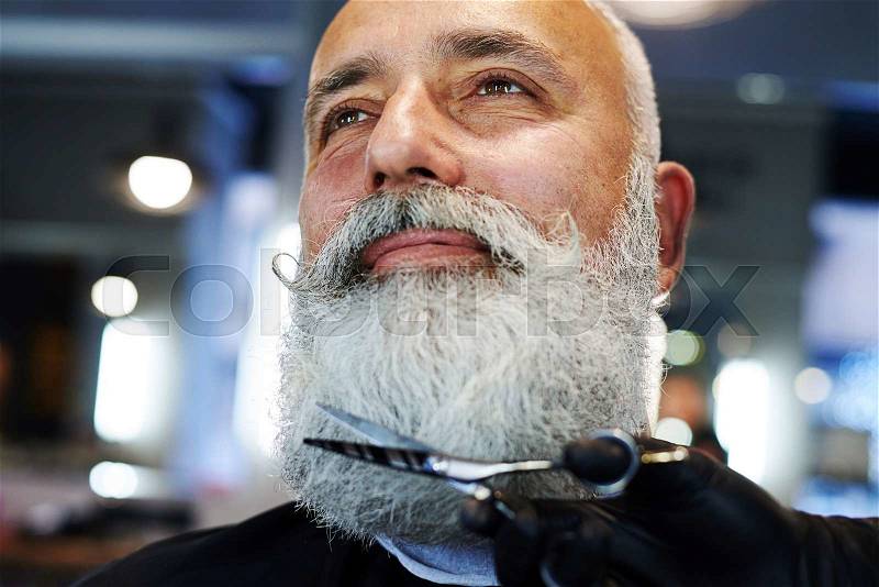 Senior man in barber shop. barber cutting beard with scissors , stock photo