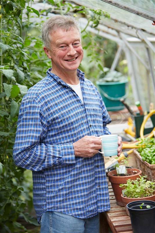 Senior Man In Greenhouse With Hot Drink, stock photo