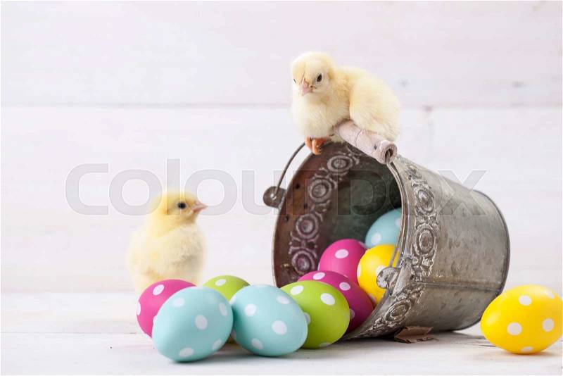 Easter chicken, eggs and decoration in vintage sytle white wooden background, stock photo