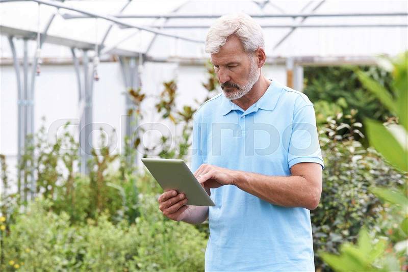 Sales Assistant In Garden Center With Digital Tablet, stock photo