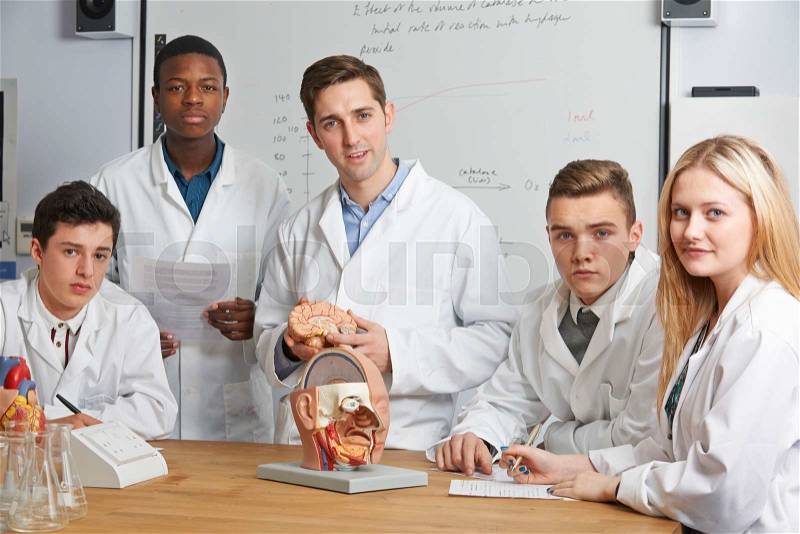 Portrait Of Teacher And Students In Biology Class, stock photo