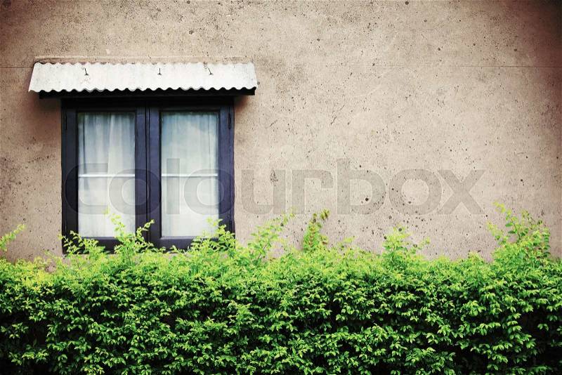 Beautiful window on green wall, vintage or retro filtered, stock photo