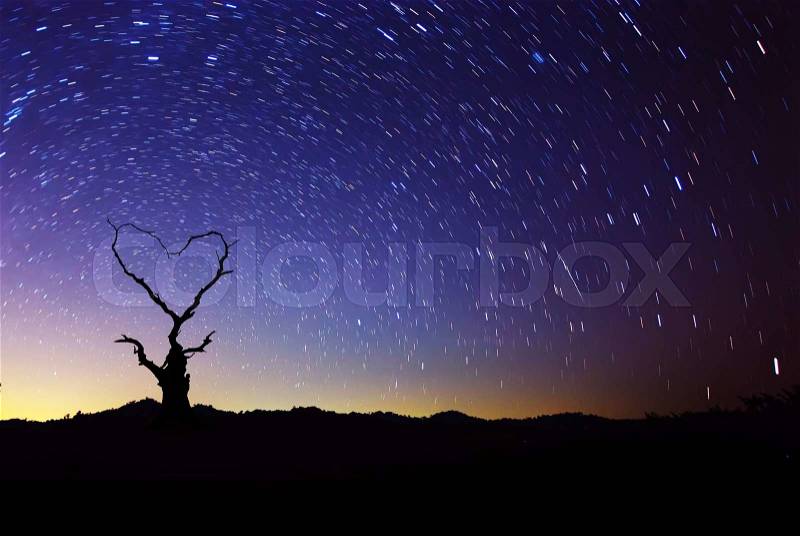 Heart shape of dead tree with star trails movement at night sky, stock photo
