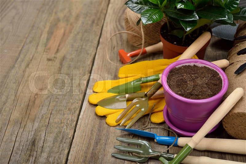 Garden tools on a wooden background, stock photo