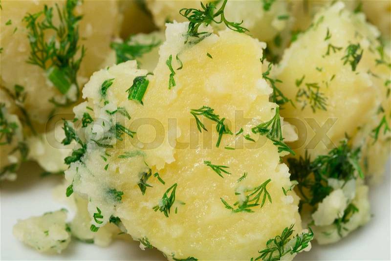 Mashed potatoes with dill closeup. As a whole background, stock photo