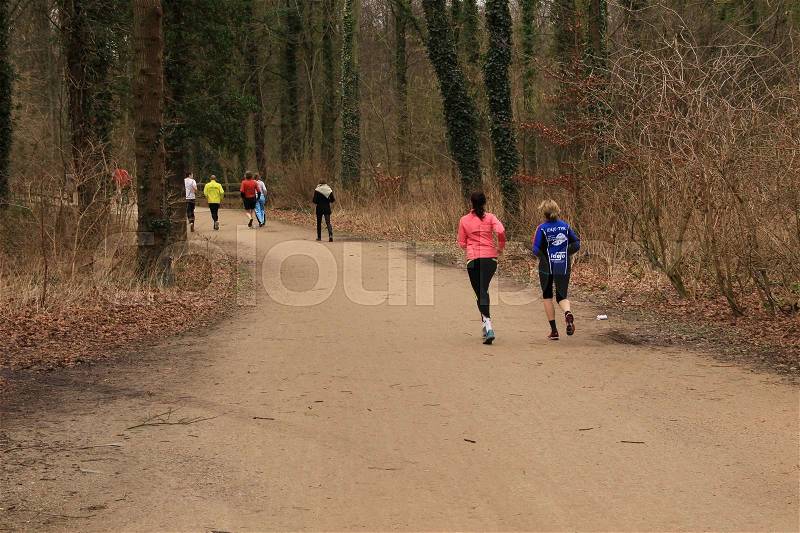 Group of runners are jogging in the forest, called Haagse Bos, in The Hague in fall, stock photo