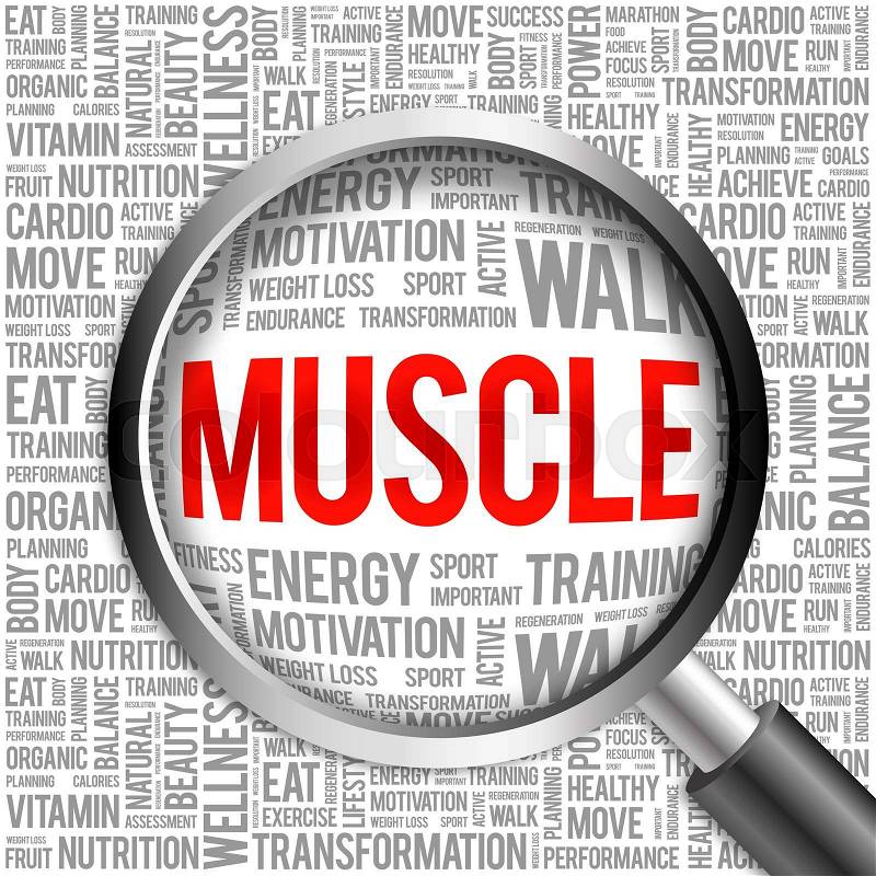Muscle word cloud with magnifying glass, health concept, stock photo