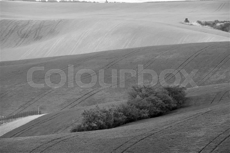 Arable lands in spring. Hunting box in Moravia hills. , stock photo