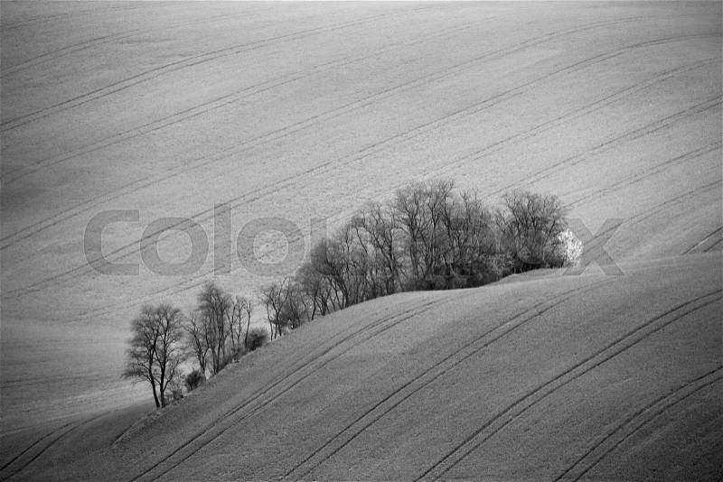 Czech Moravia hills. Agriculture . Arable lands in spring, stock photo