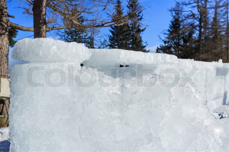 Melting glacial block of ice closeup and trees behind, stock photo
