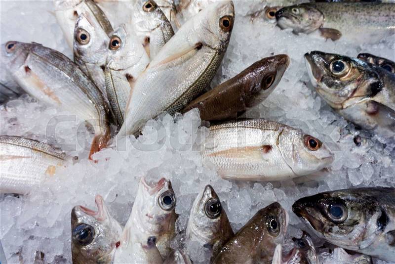 Raw fish background. Fresh fish on ice, stock photo