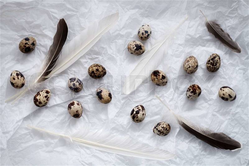 Quail eggs flat lay still life with food stylish fresh raw ingredient poultry healthy cholesterol protein vitamin natural rustic , stock photo