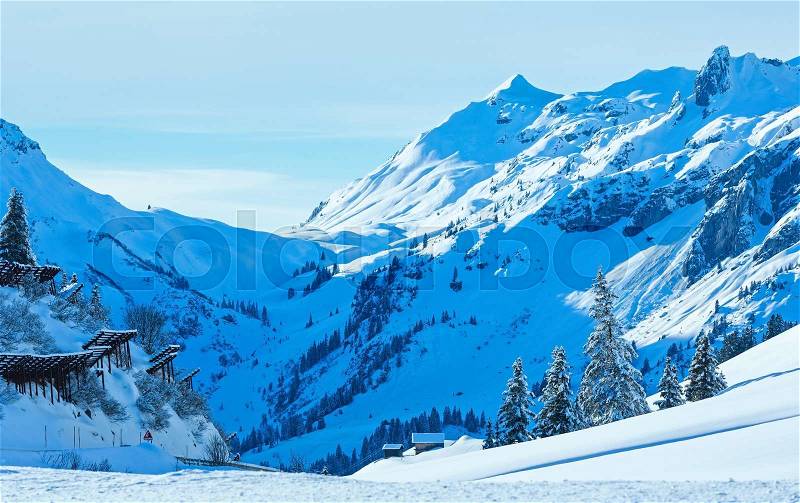 Winter mountain landscape with snowy fir on slope and snow-barrier (Austria, Tyrol), stock photo