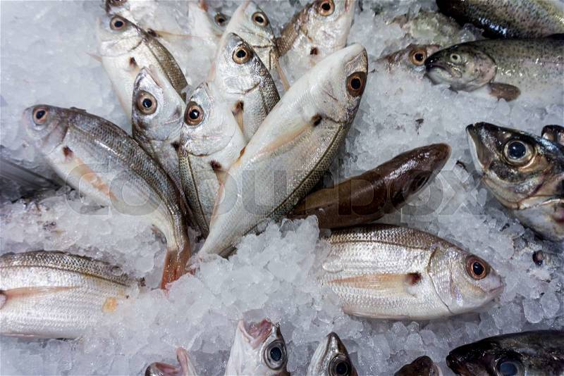 Fresh raw fish in the market. Various fishes on ice, stock photo