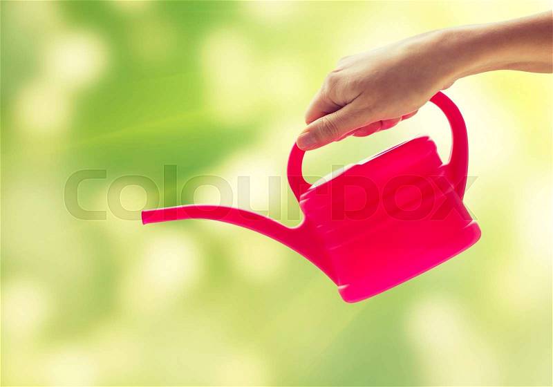 People, gardening and profession concept - close up of woman or gardener hand holding watering can over green background, stock photo