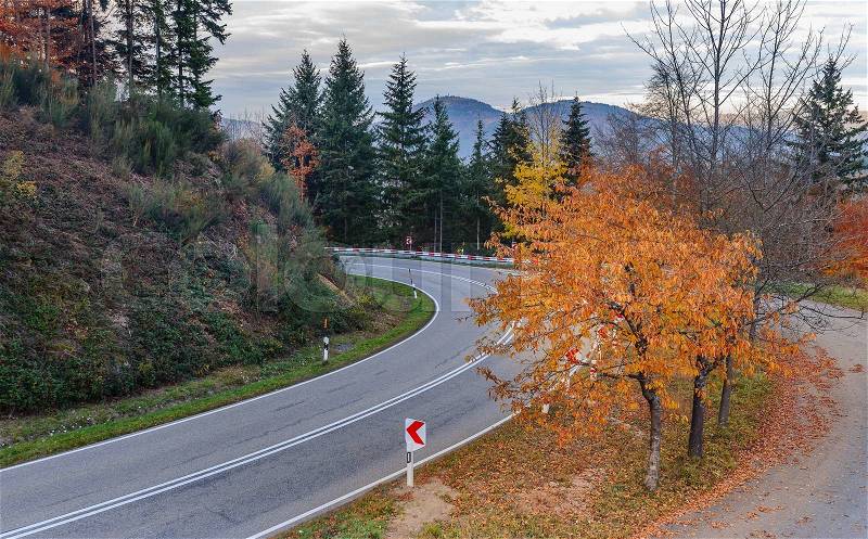 Asphalt road is running along the slope overgrown with coniferous forest in mountain autumn, stock photo