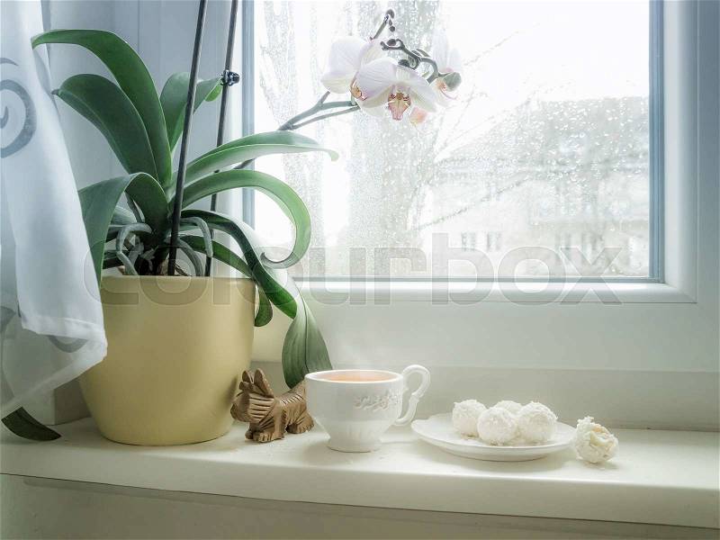 Cup of tea and candy on a rainy day in front of the wet city window, stock photo