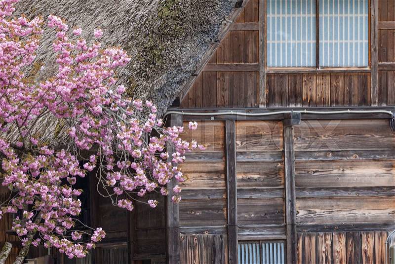 Traditional and Historical Japanese village Ogimachi - Shirakawa-go, Japan , stock photo