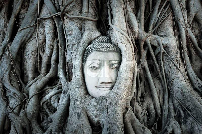 Buddha head covered by roots of a tree in Ayutthaya. Thailand, stock photo