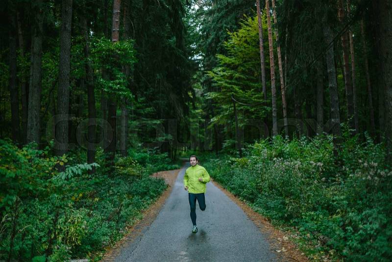 Man running and exercising for trail run on a path in an old green forest, stock photo