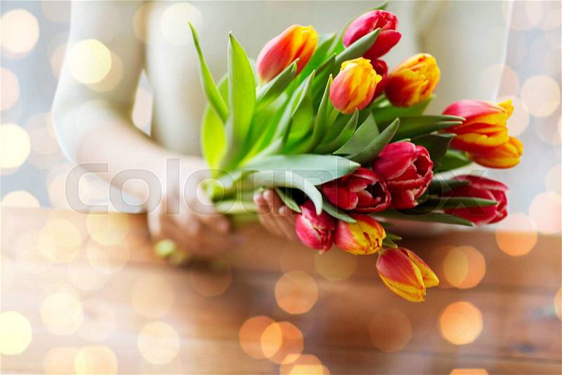 People, holidays and gardening concept - close up of woman holding tulip flowers, stock photo