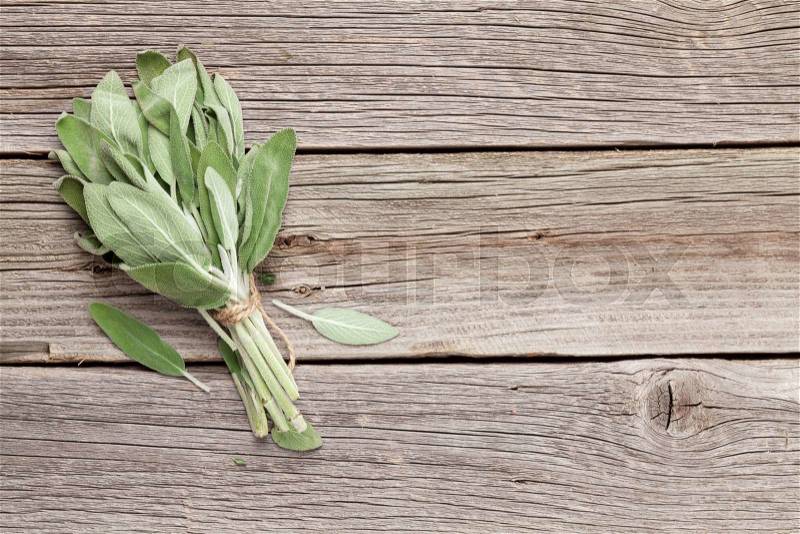 Bunch of garden sage herb on wooden table. Top view with copy space, stock photo