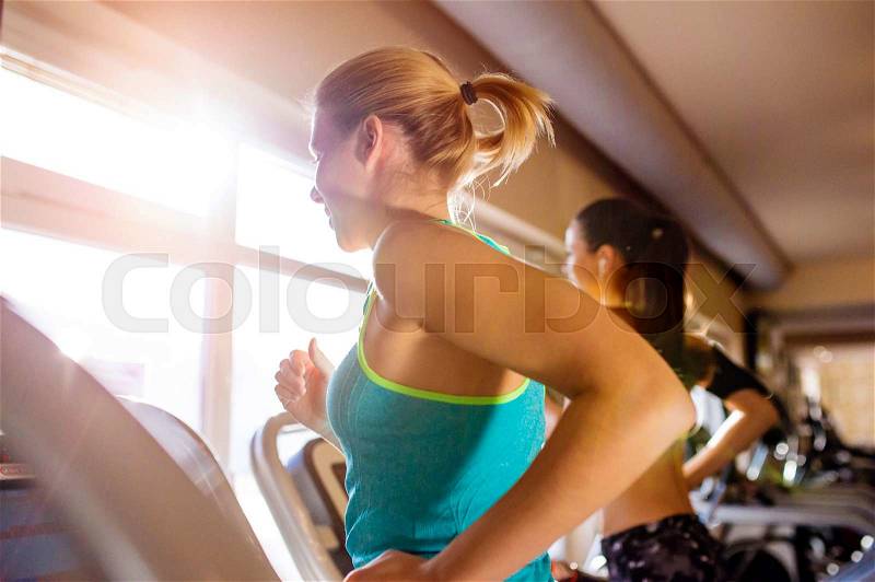 Two attractive fit women running in sports clothes on treadmills in modern gym, sunny day, back view, rear viewpoint, stock photo