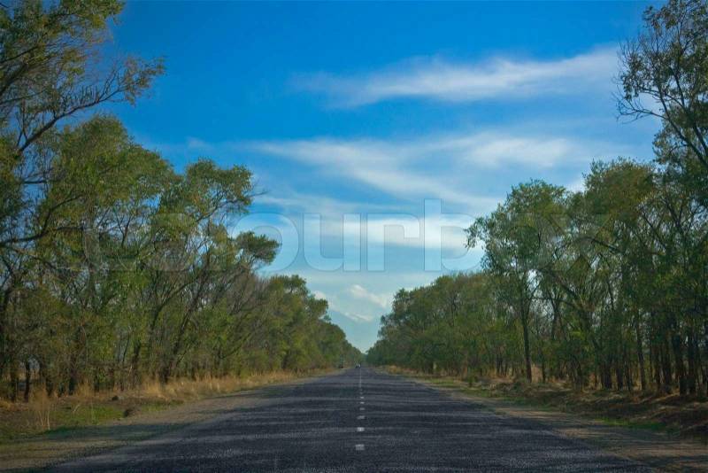 Road with dividing line, stock photo