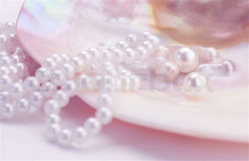 Macro of pearls and necklace in an oyster shell. Pink tinted image, stock photo