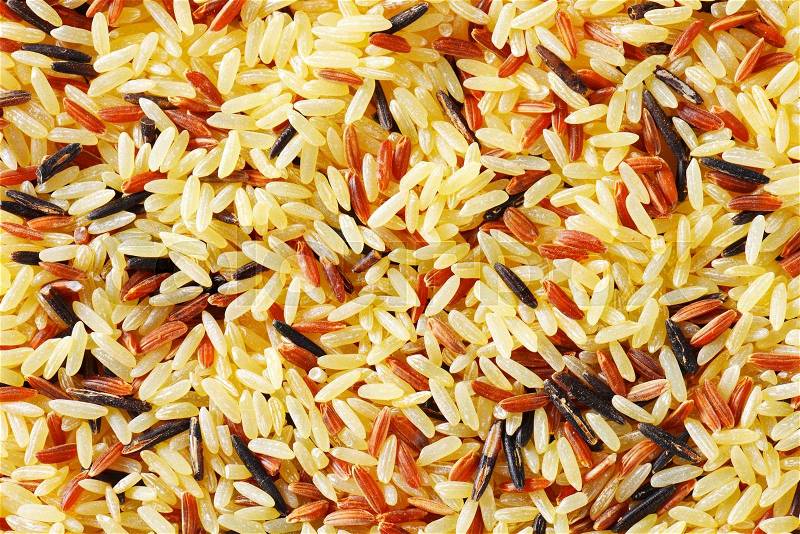 Long grain and wild rice mix, stock photo