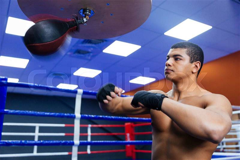 Handsome boxer exercising with the speed bag, stock photo