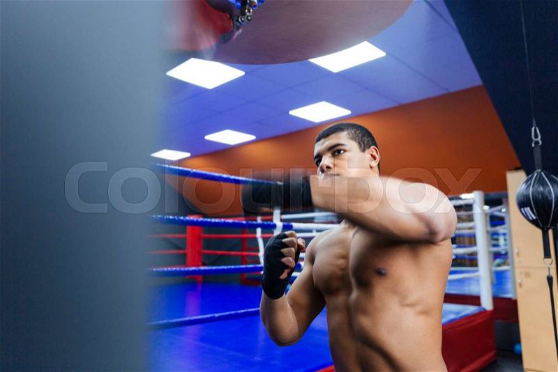 Male boxer exercising with the speed bag, stock photo