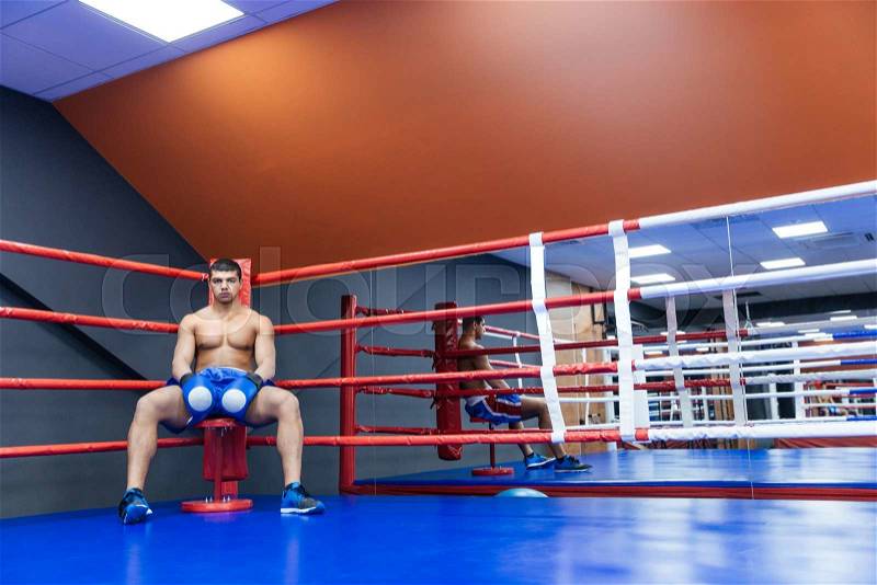 Male boxer sitting in the corner of the boxing ring and looking at camera, stock photo