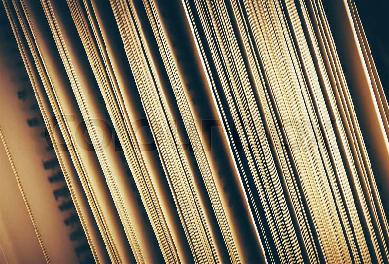 Book Pages Closeup. Book Reading Concept Photo, stock photo