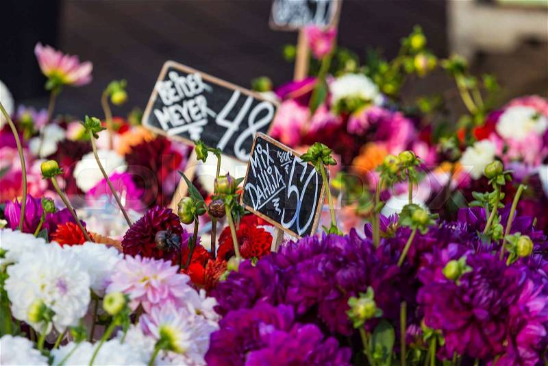 Outdoor flower market in Copenhagen, Denmark. , stock photo