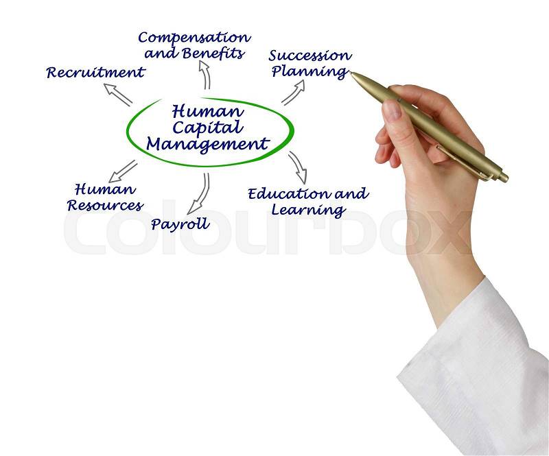 Diagram of Human Capital Management, stock photo