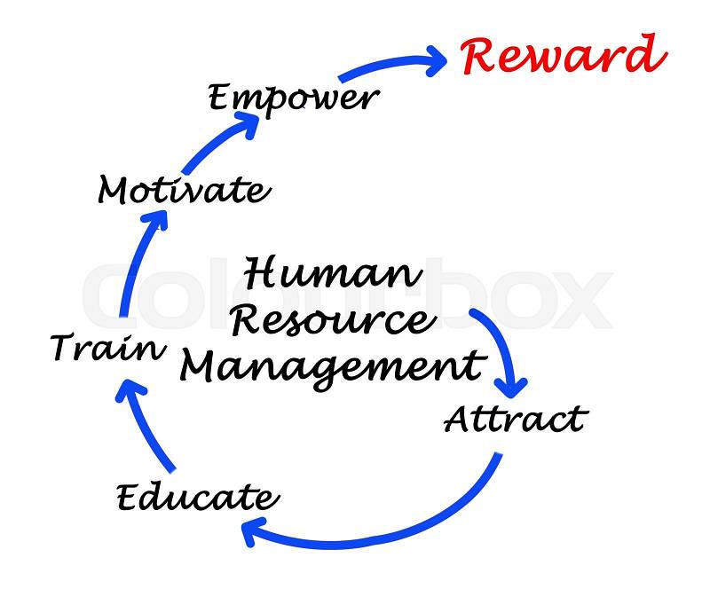 Diagram of human resource management, stock photo