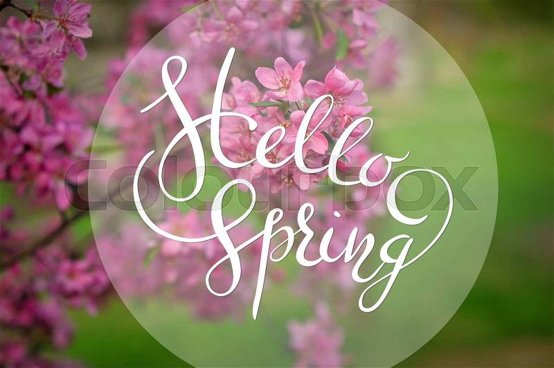 Blossoming apple-tree on a background of green grass with letters Hello sprint, stock photo